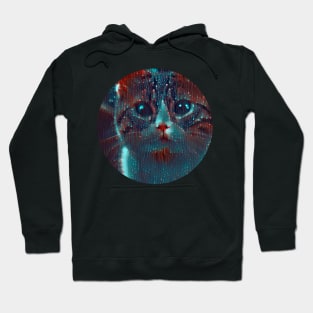 Chill mycat, revolution for cats Hoodie